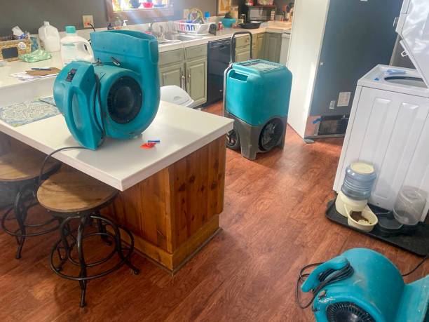 Best Carpet water damage restoration  in Helena Valley West Central, MT