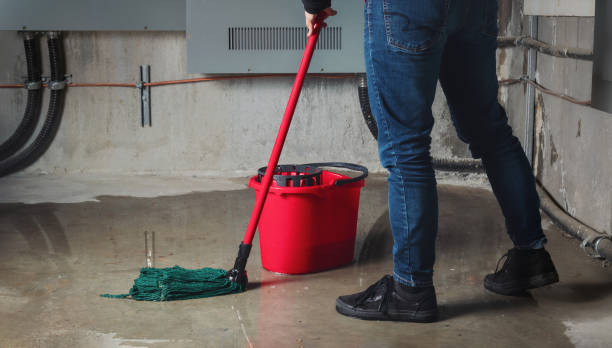 Best Water damage restoration near me  in Helena Valley West Central, MT