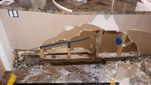 Best Flooded house restoration  in Helena Valley West Central, MT