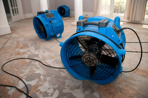 Best 24/7 water damage repair  in Helena Valley West Central, MT