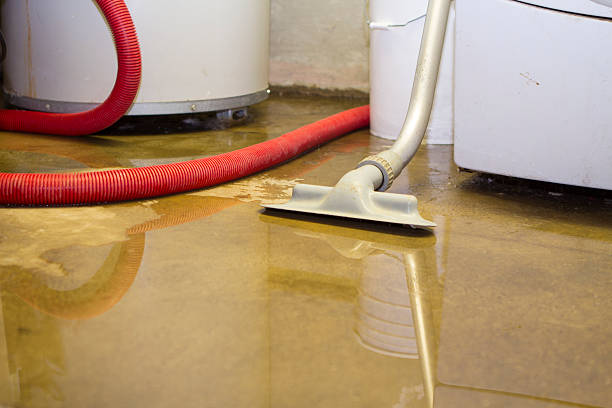 Reliable Helena Valley West Central, MT Water damage restoration Solutions