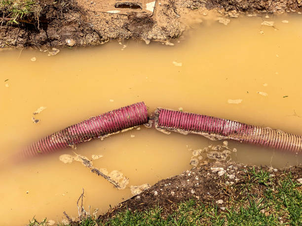 Best Professional water damage repair  in Helena Valley West Central, MT