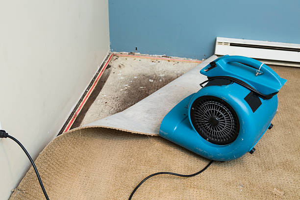 Best Ceiling water damage repair  in Helena Valley West Central, MT